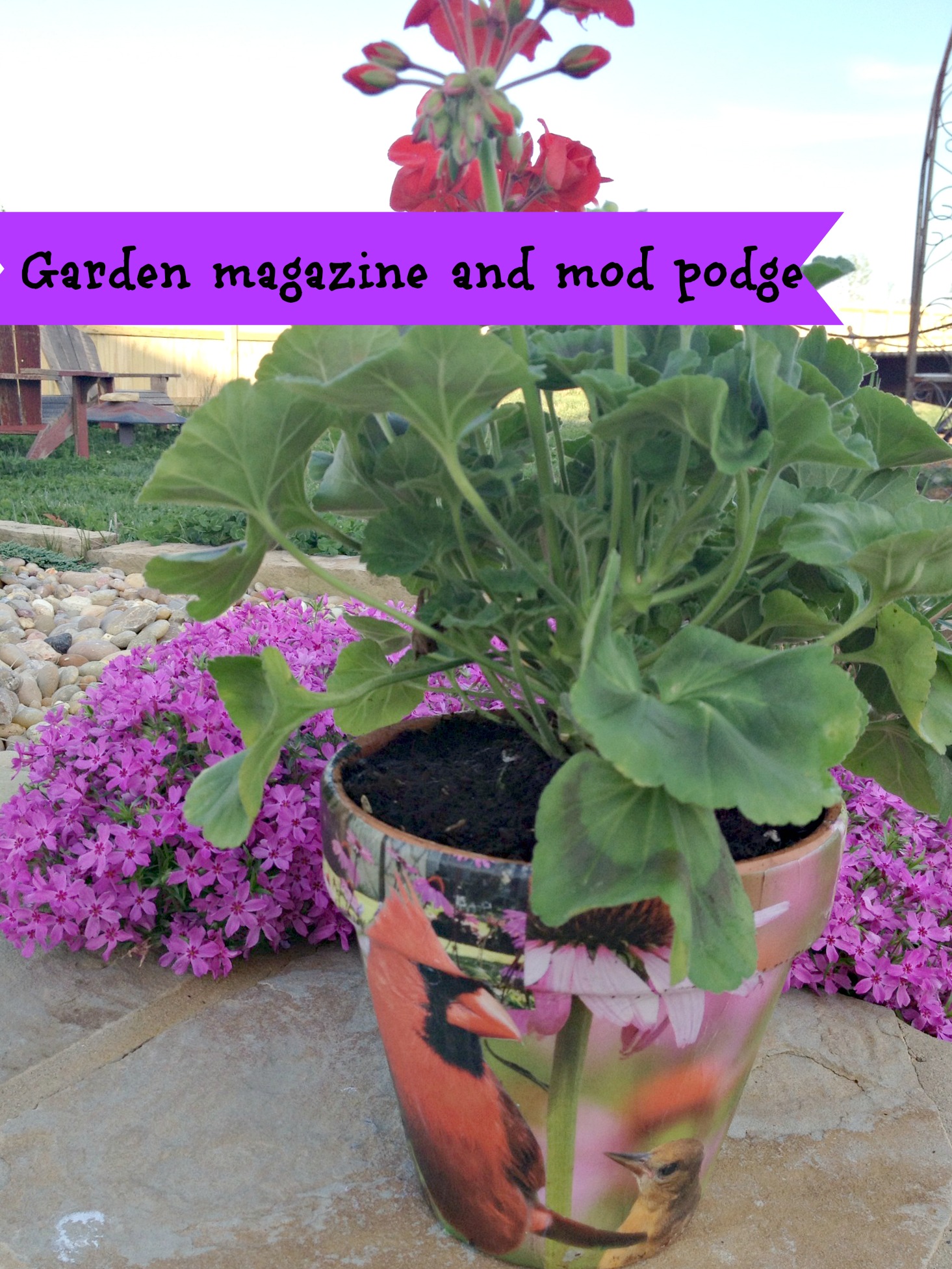 mod podge on terra cotta pots with a garden magazine clippings