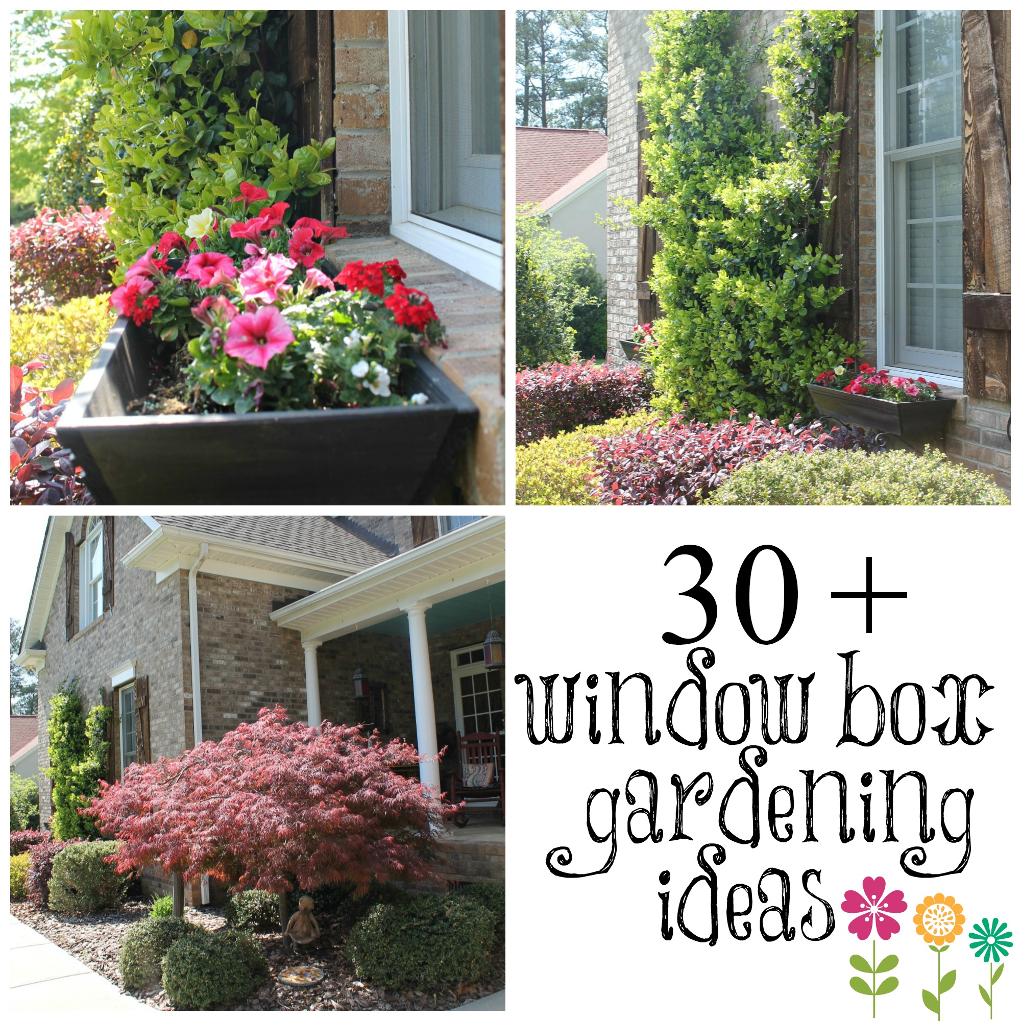 30 + window box gardening ideas