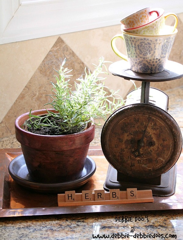 Summer herb pots with rit dye
