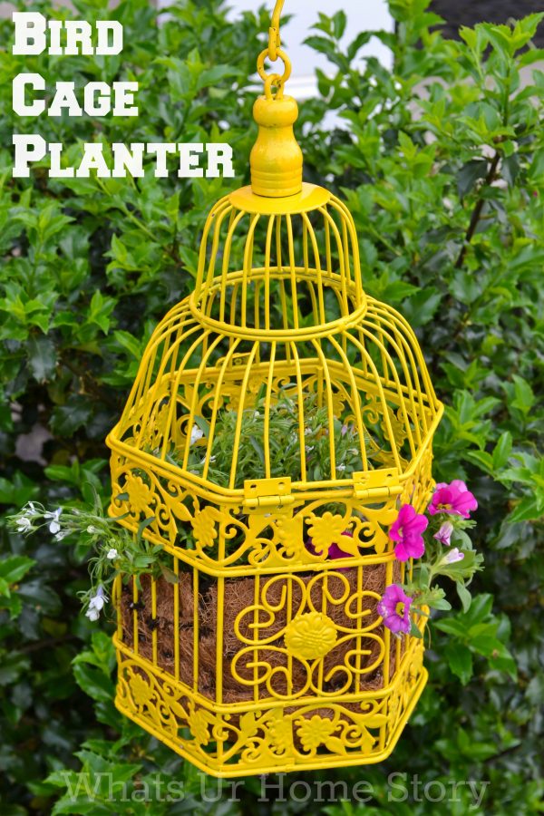 Bird-Cage-Planter
