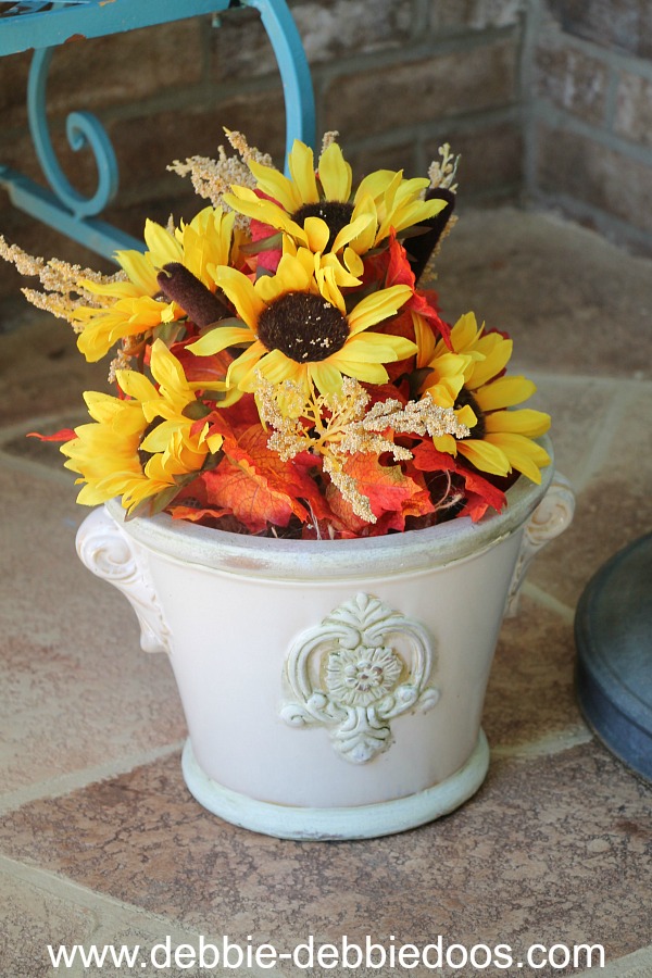 sunflowers in pot