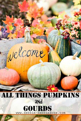All things pumpkin and gourds decorating ideas