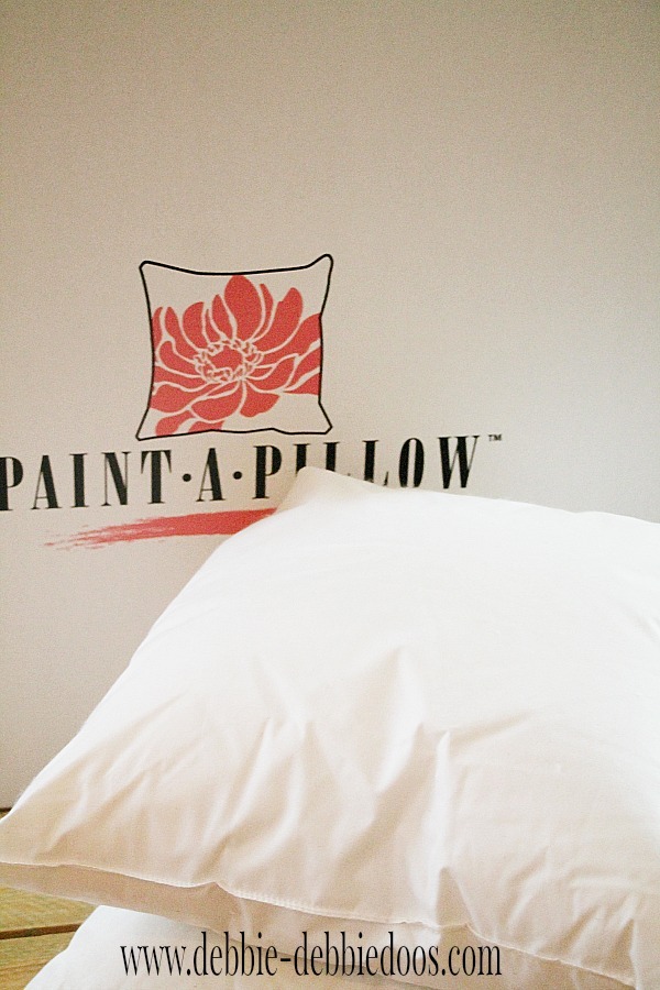 paint a pillow