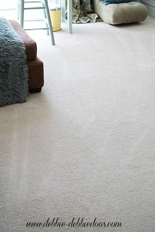 Cleaning your carpets organically