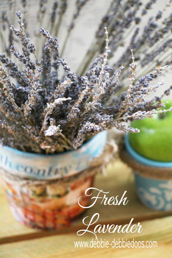 Fresh lavender in a French country terracotta pot