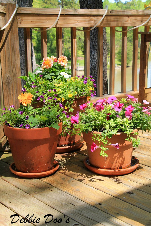 garden pots in the Carolina's