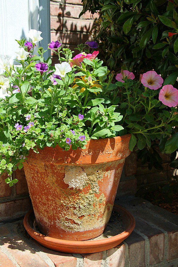 naturally aged terra cotta pots