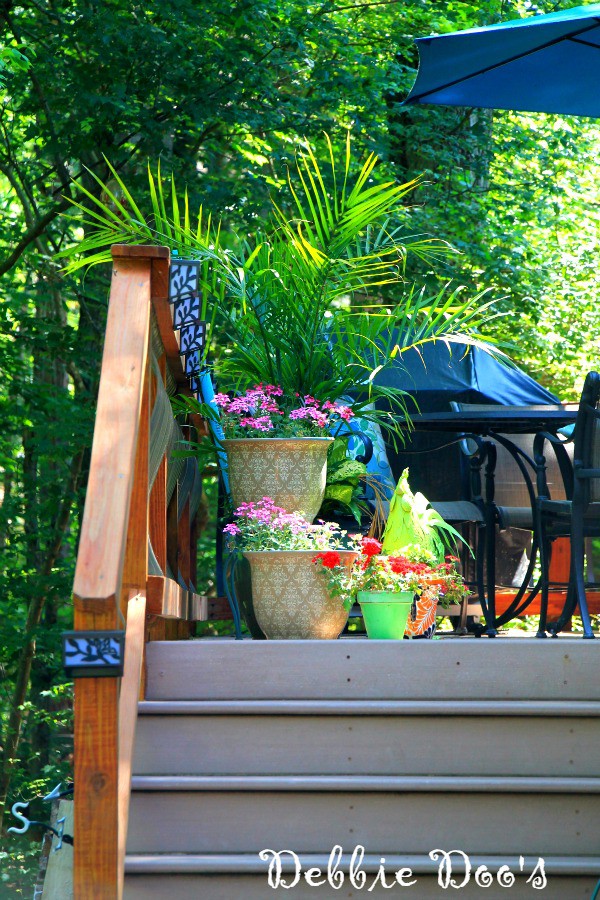 outdoor deck in the Carolina's