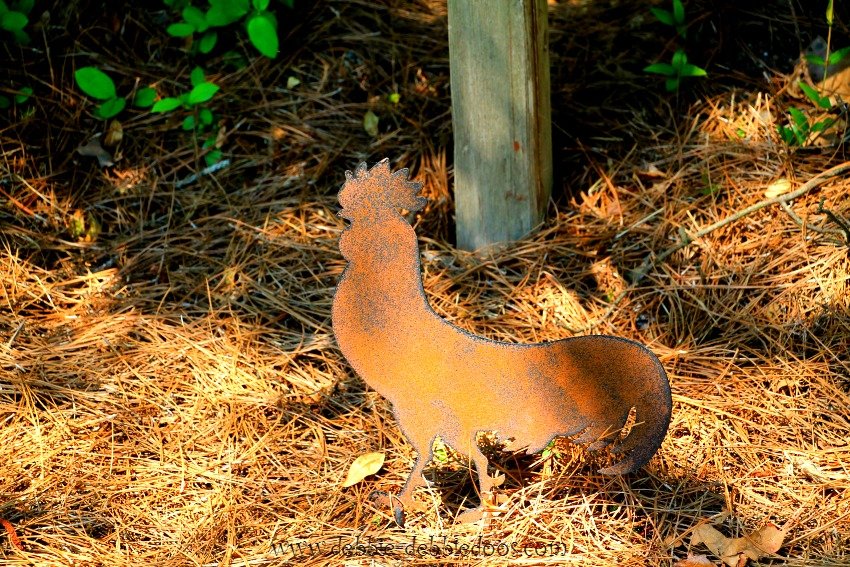 rustic rooster from LTD