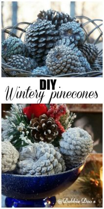 How to have wintery pinecones and bake the critters out