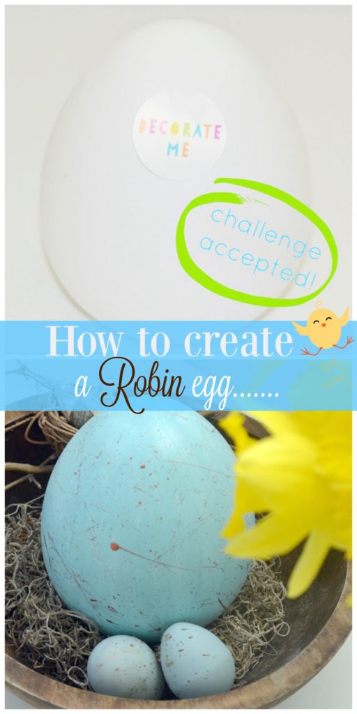 How to create your own Robin eggs this spring season with dollar tree