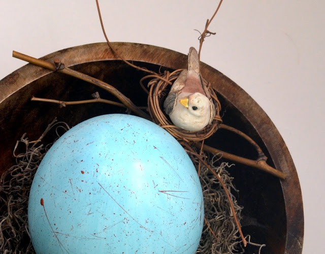 Robin egg and bird nest
