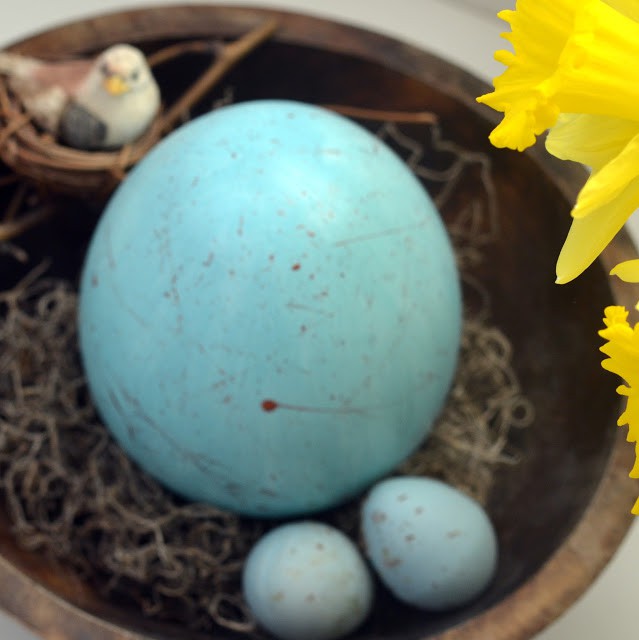 Robin egg in nest