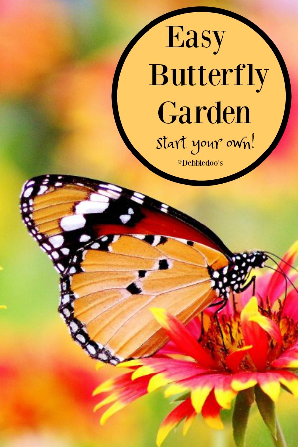 How to start your own butterfly garden with these 5 easy tips and steps