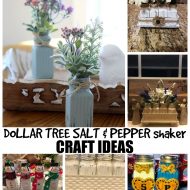 Dollar-Tree-Salt-and-Pepper-Shaker-craft-ideas